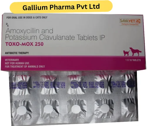 Amoxycillin Potassium Clavulanate & Lactic Bacillus Tablet