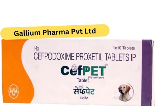 Cefpodoxime Proxetil For Animal