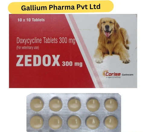 Doxycycline For Animal